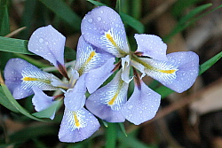 imgp7958.jpg