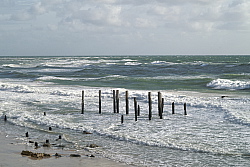 imgp6948.jpg
